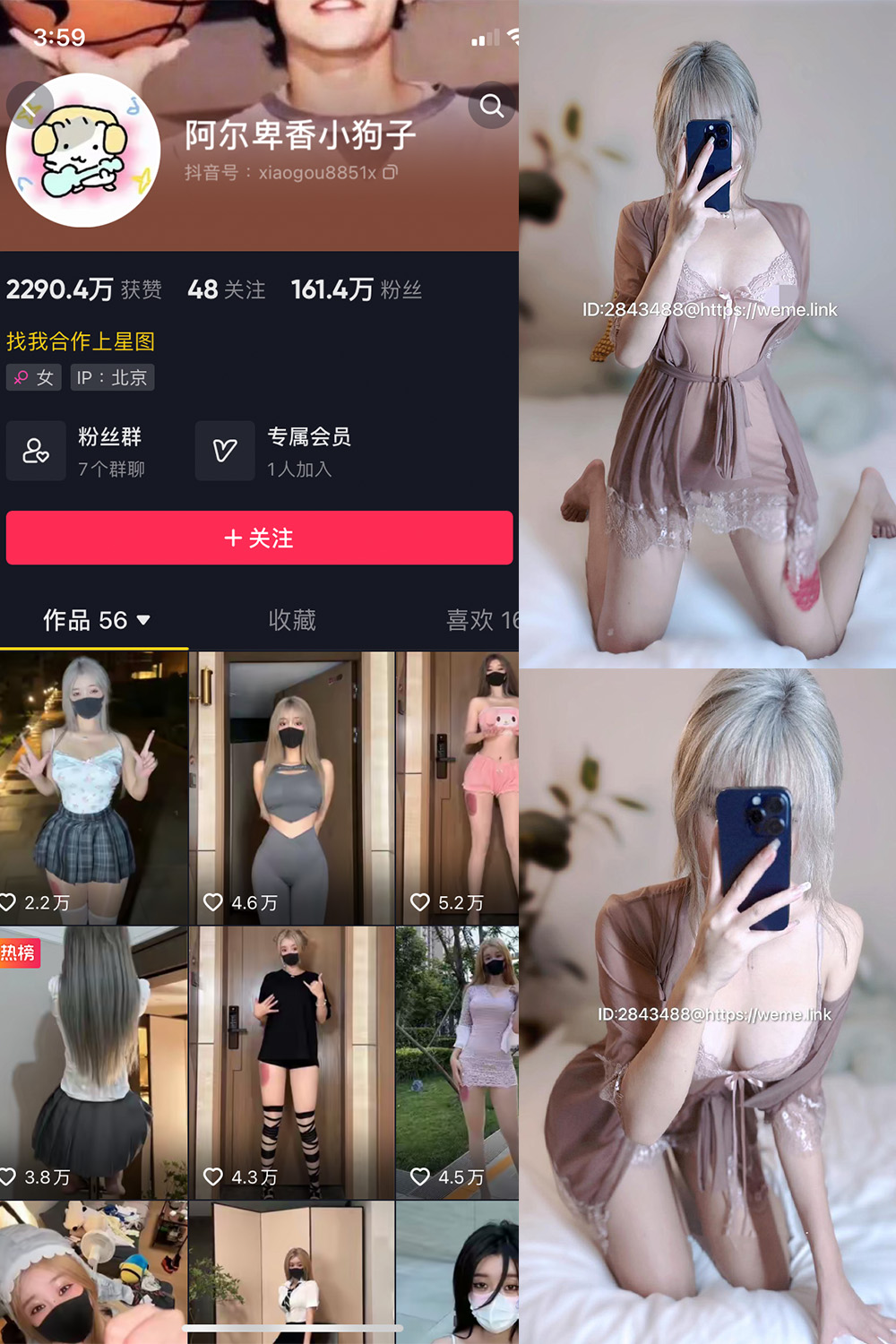 抖音 阿尔卑香小狗子 微密圈  NO.045期 【39P】最新至：2026.6.9-桃花园