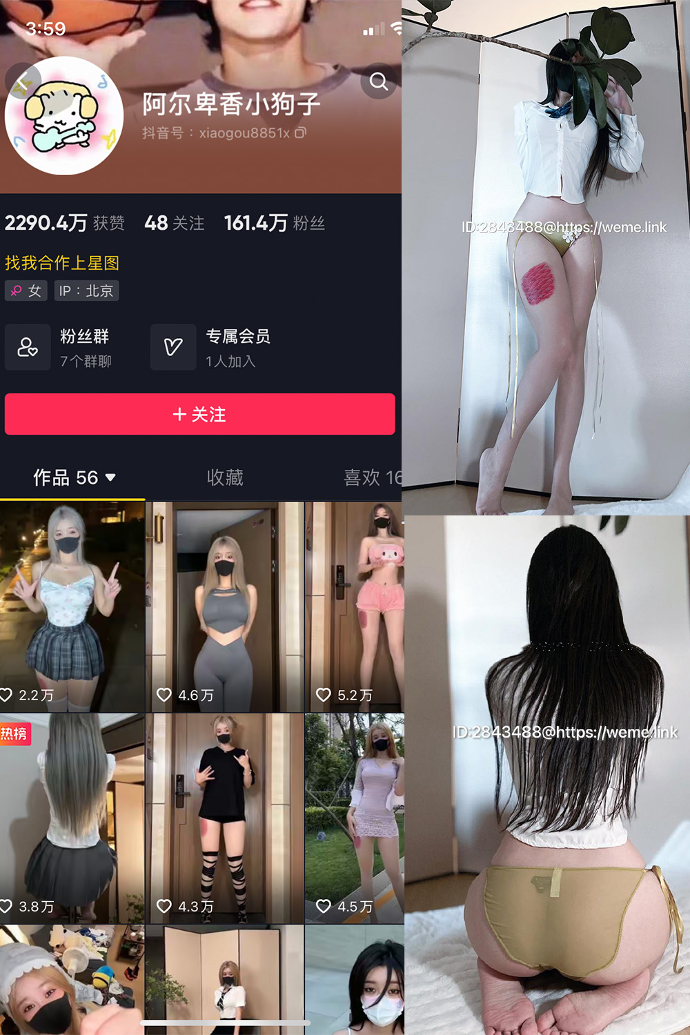 抖音 阿尔卑香小狗子 微密圈  NO.047期 【39P】最新至：2024.6.10-桃花园