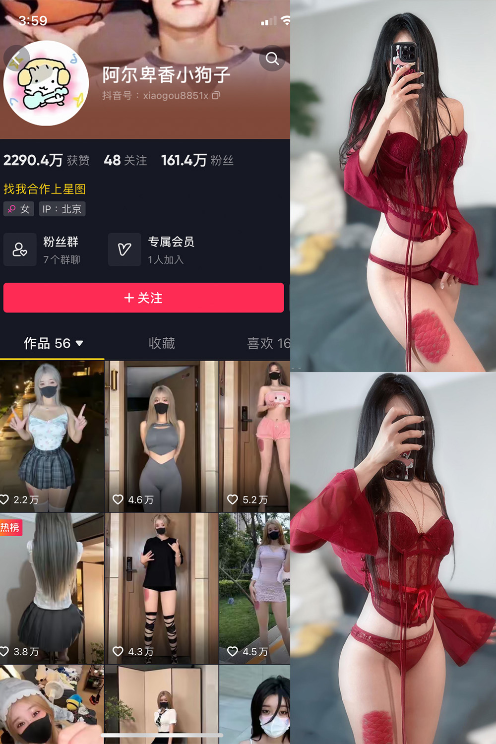 抖音 阿尔卑香小狗子 微密圈  NO.056期 【10P2V】最新至：2024.8.25-桃花园